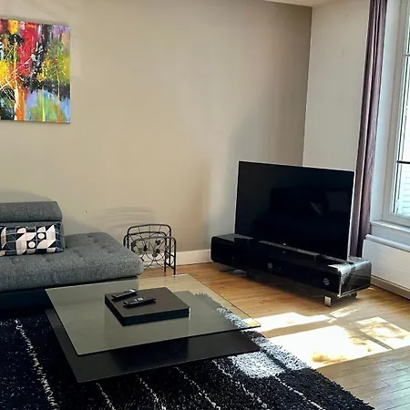 Apartment La Terrasse Du Belvedere-appartement 3 Chambres-nancy- Avec Stationnement