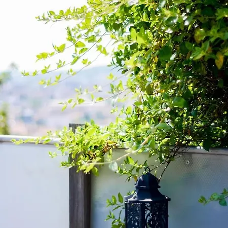 La Terrasse Du Belvedere-appartement 3 Chambres-nancy- Avec Stationnement