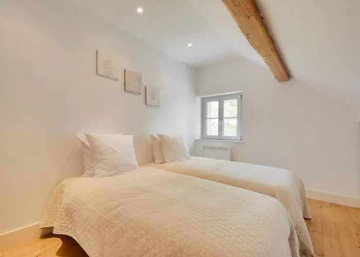 Apartmán La Terrasse Du Belvedere-appartement 3 Chambres-nancy- Avec Stationnement *